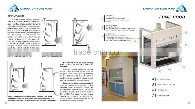 Commercial Ventilation System Exhaust Fume Hood Vertical Laminar Flow Cabinet