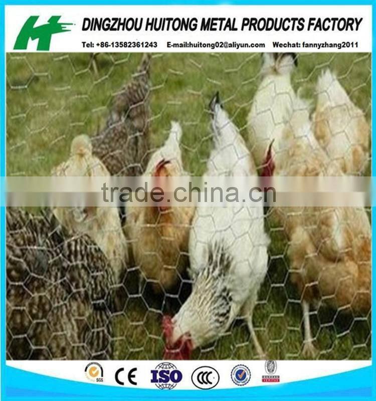 1/2",3/4" galvanized hexagonal wire netting/chicken mesh/rabbit netting