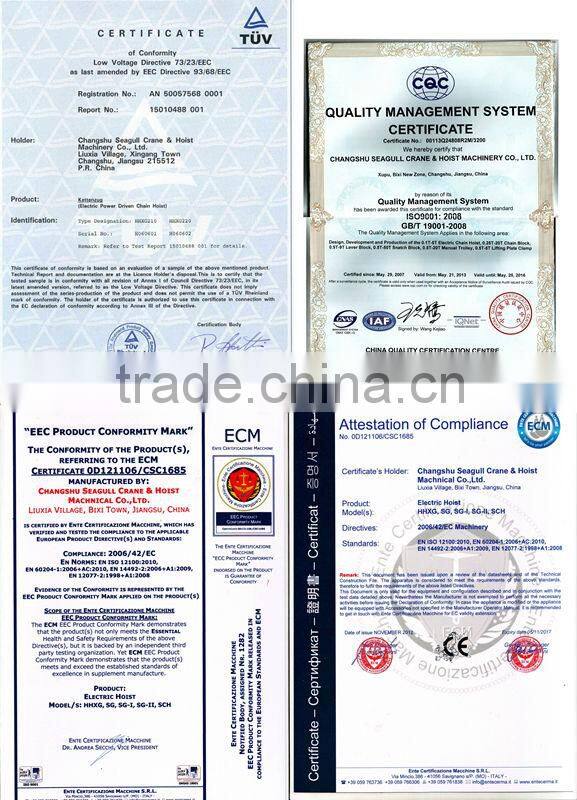 SG-II SINGLE PHASE ELECTRIC CHAIN HOIST/ hoist rope