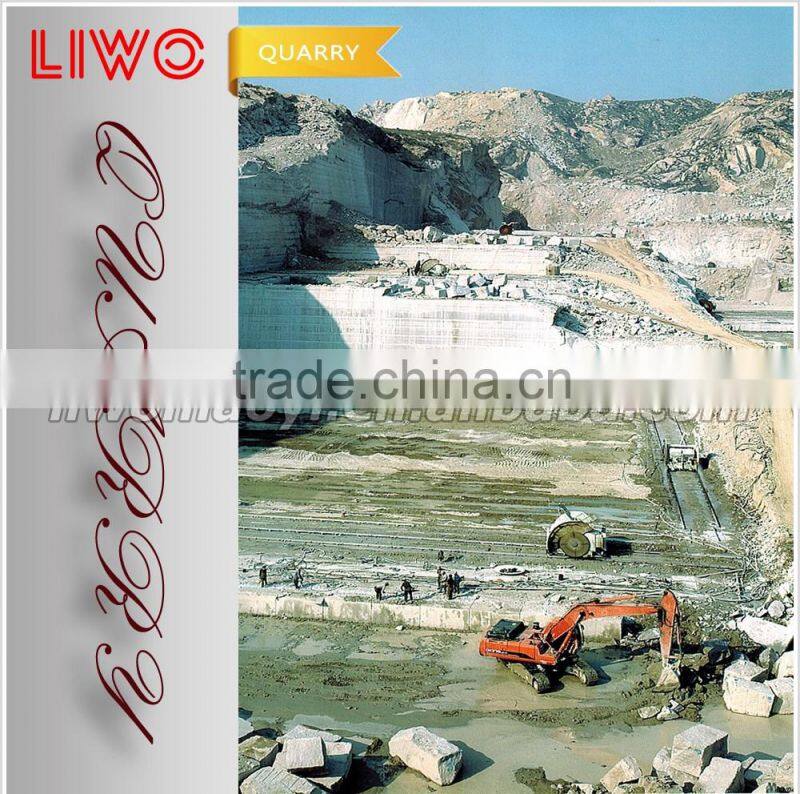 Importing Granite Tiles 50x50 100x100 from China