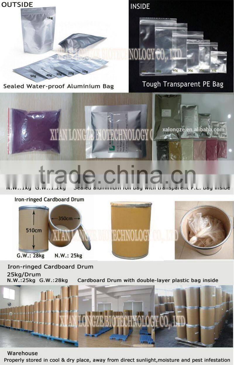 Professional manufactory supply Chinese bilberry P.E/ blueberry spray-dried fruit powder free sample supplied