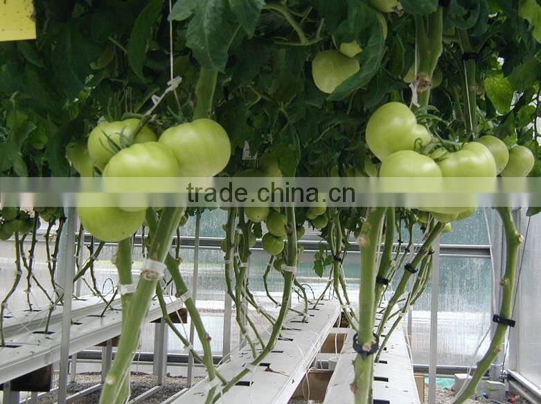 Cheap NFT Channel pvc pipe