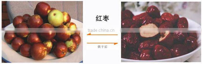 organic dehydrated food machine