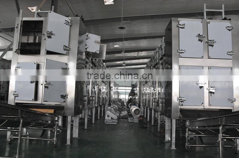 Multiple layer continuous type mesh belt dryer for rosebud