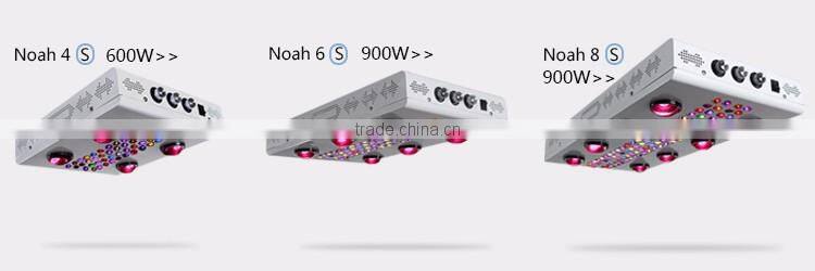 1200W Grow Light Kit for Red Blue White Indoor Plants