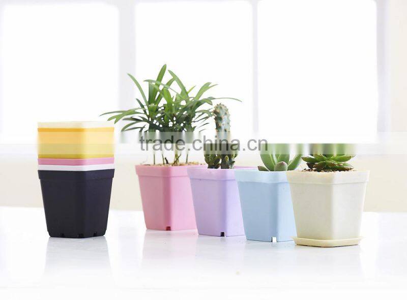 Plastic Colorful Small Square Flower Pots Without Pallet -3 inch
