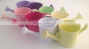 High quality metal decorative watering can