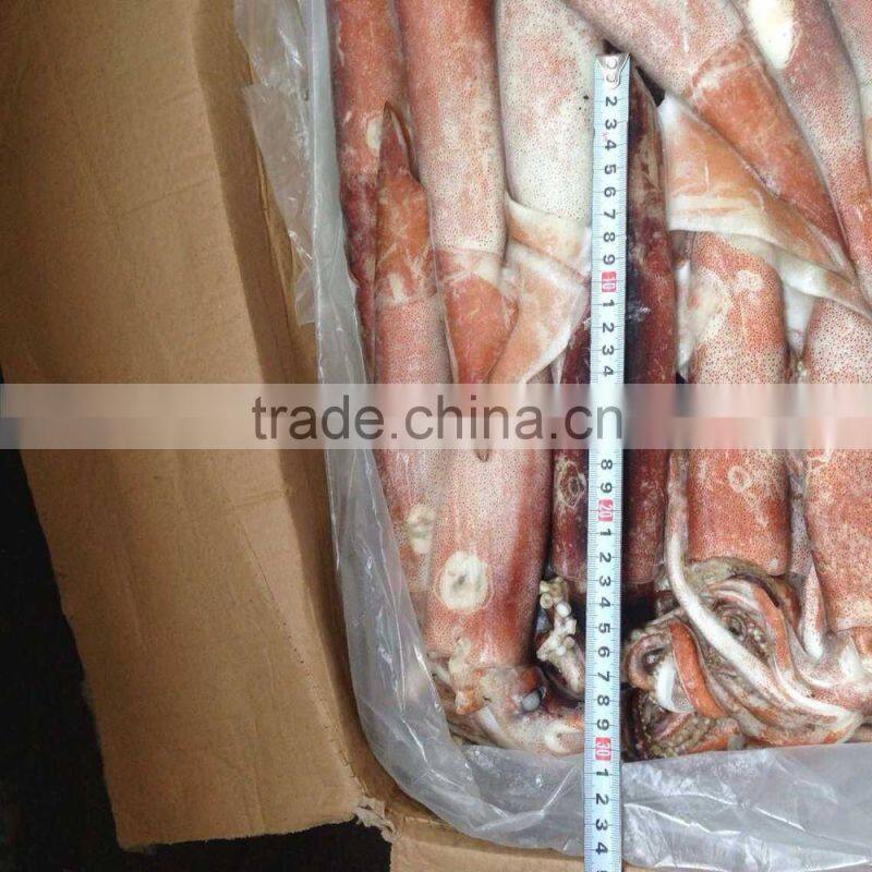 200-300g Frozen Seafood Japanese Flying Squid
