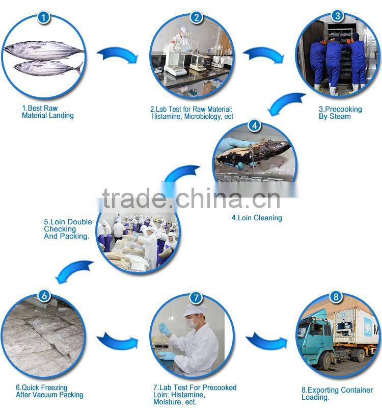 China Seafood Supplier 1kg up Raw Size New Skipjack Tuna Loin