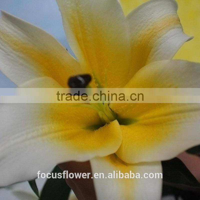 New Arrival Fresh Cut Yellow Lily Flower