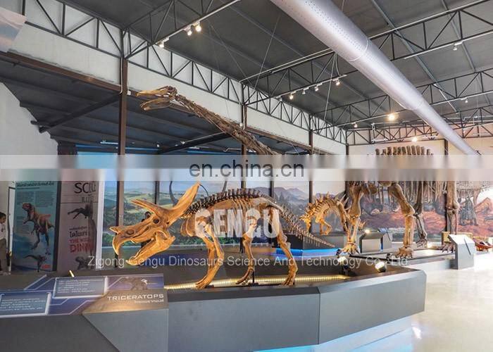 Simulation Dinosaur Skeleton Indoor Dinosaur Fossil