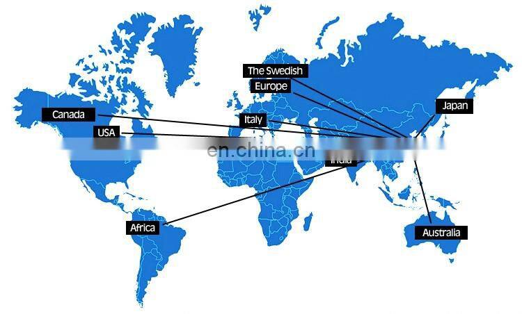 WINUP 2017 wholesale 100% cotton pineapple logo snapback baseball cap