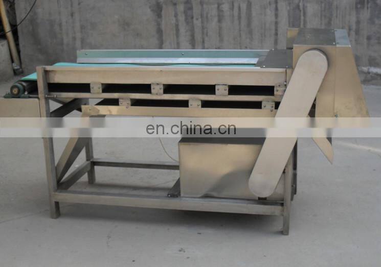 Automatic Mushroom cutting machine/mushroom slicer machine /mushroom slicing machine with the factory price