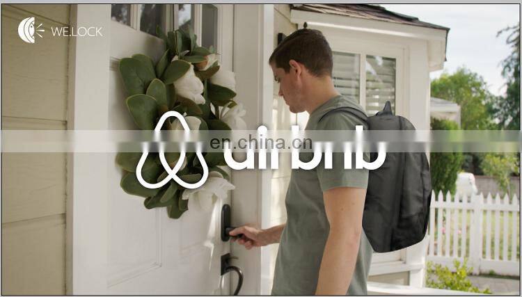 WE.LOCK Lowest Price smart furniture combination lock door handle keyless door lock