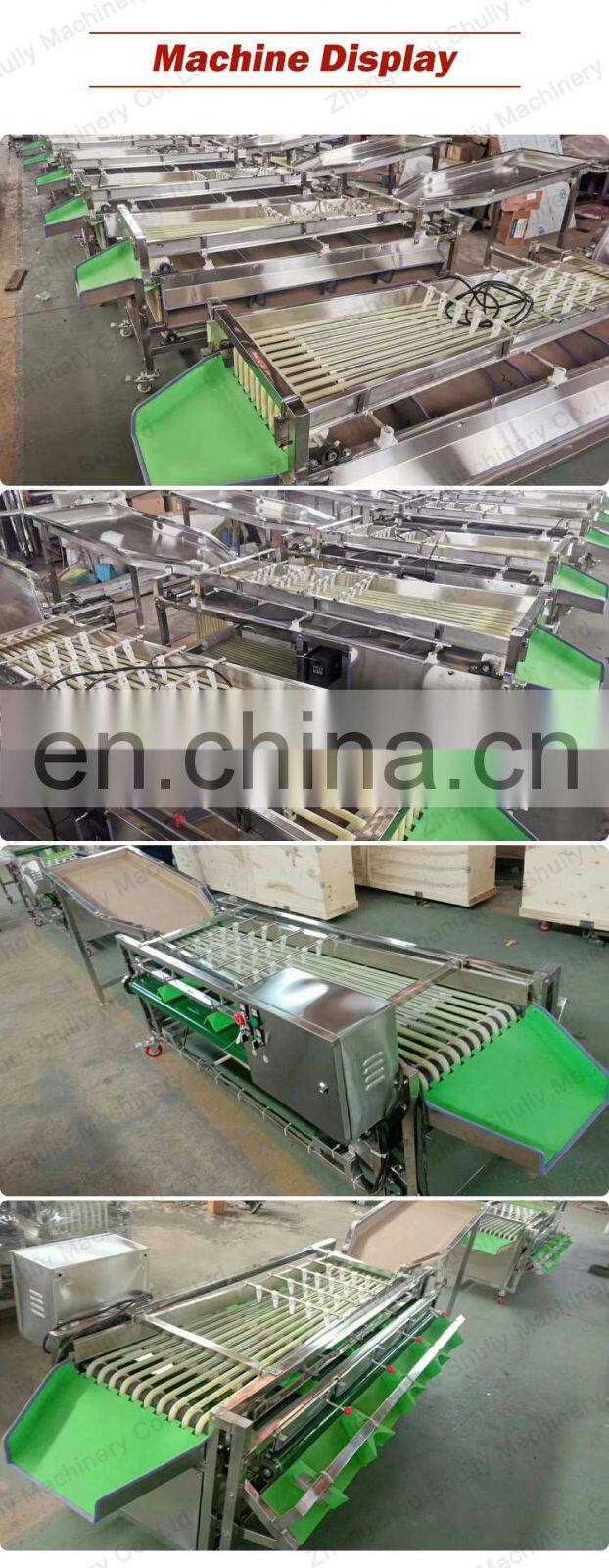 citrus fruit sorting machines from Elva
