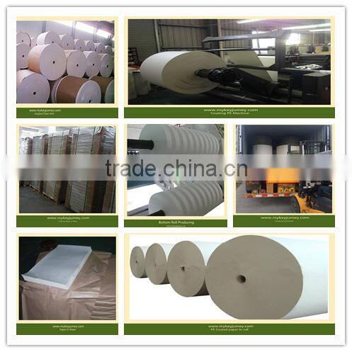 Disposable paper cup fan/raw material of paper cup