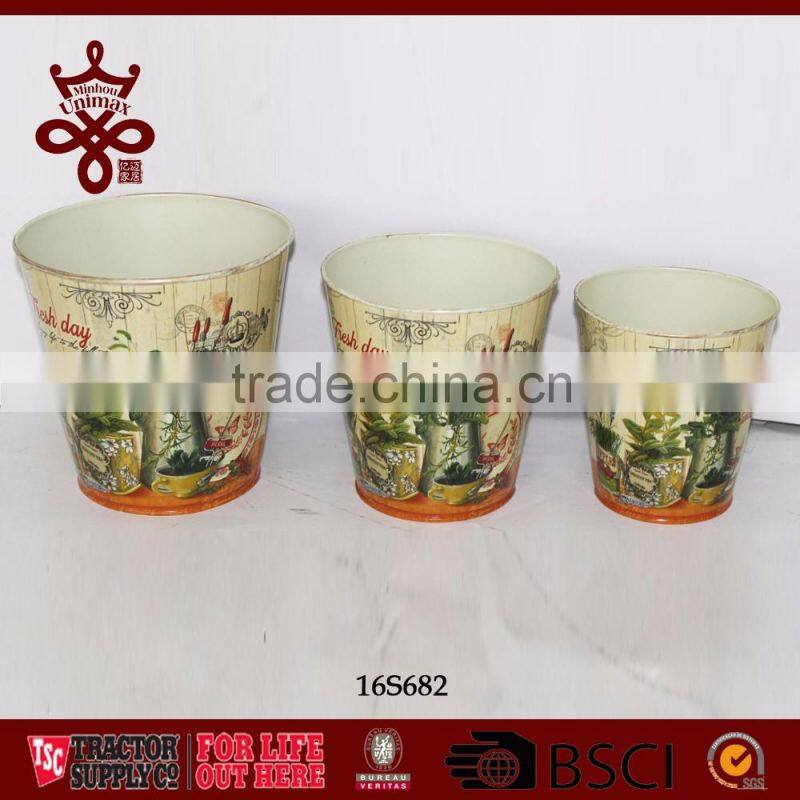 Potted Plants Colorful Window Boxes Shabby Chic Outdoor Planters