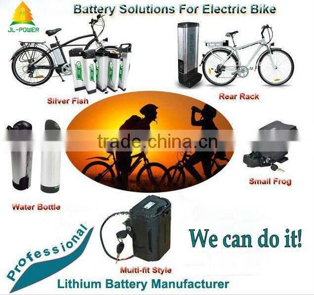 wholesale lifepo4 24 volt ebike batterie with charger and bms