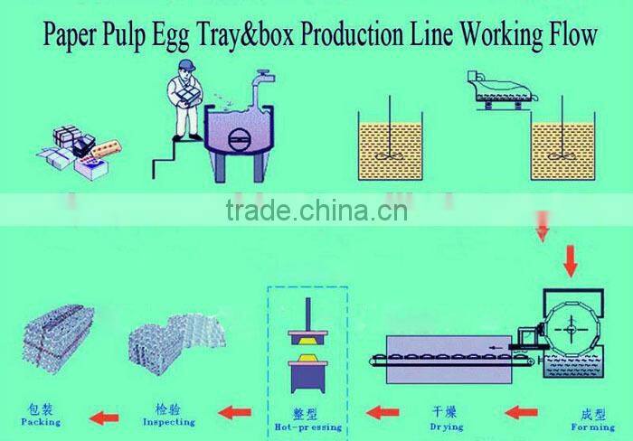 Plastic Egg Tray Machine Disposable Egg Trays For Sale