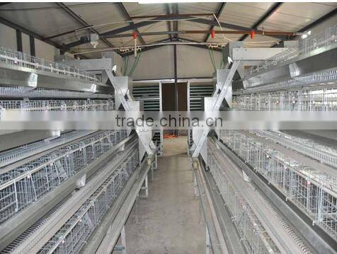 Automatic animal farm equipment poultry drinkers and chicken feeding system