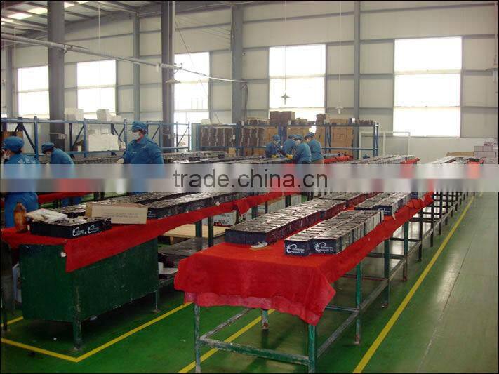 2V200Ah Standby Power Battery