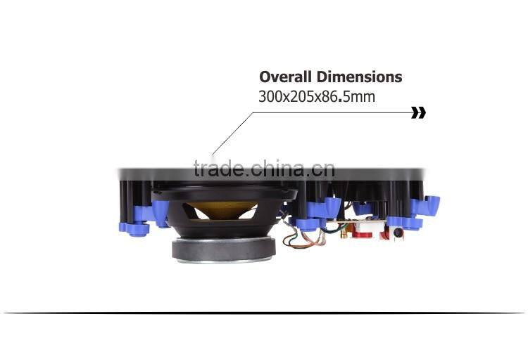 Frameless flat panel hifi speaker