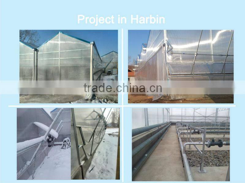 multi span poly carbonate PC agriculture commercial greenhouse