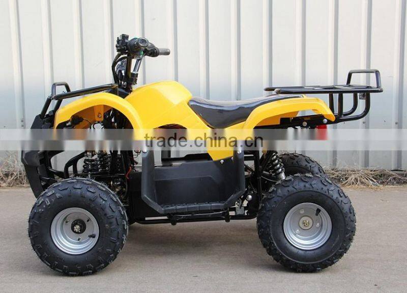 1000W Four Wheel Beach Buggy Amphibious Quad