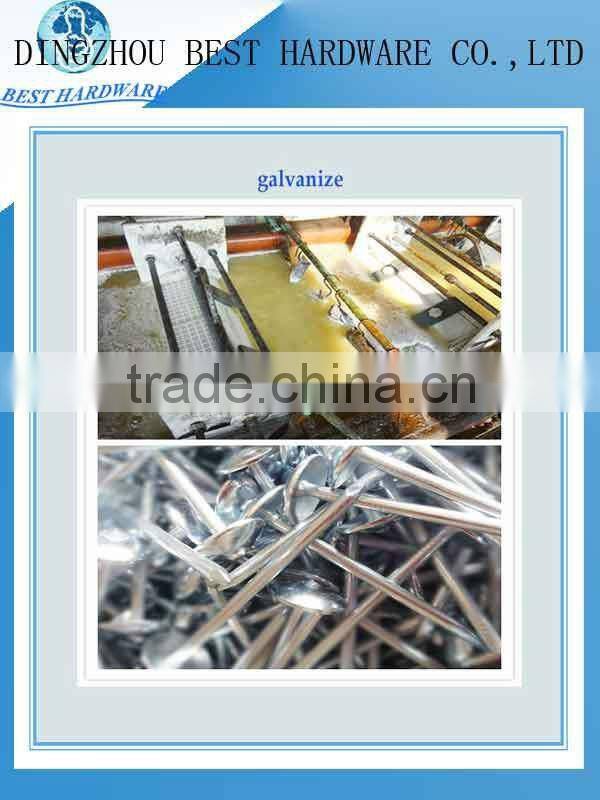 low price galvanizaed roofing nail with umbrella head