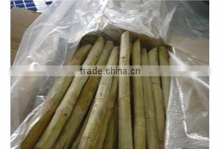 Frozen Sugarcane From VietNam QQ : 2598494113