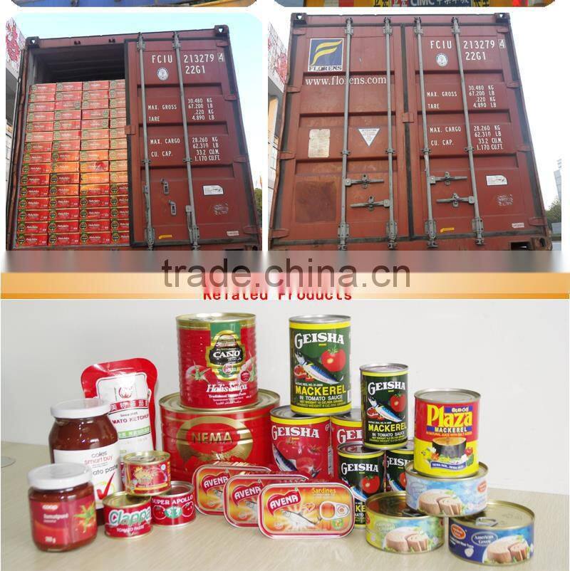 canned tomato paste 28-30% brix,tinned tomato paste 400gx24tins