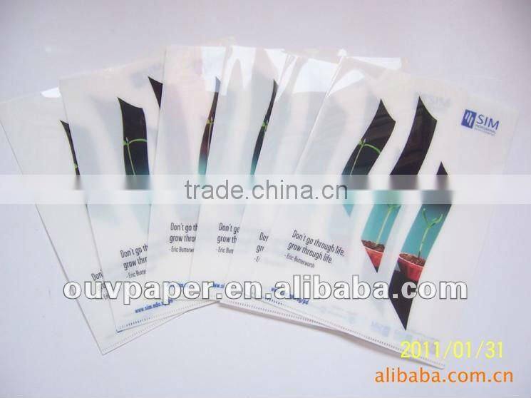 Colourful transparent L folder