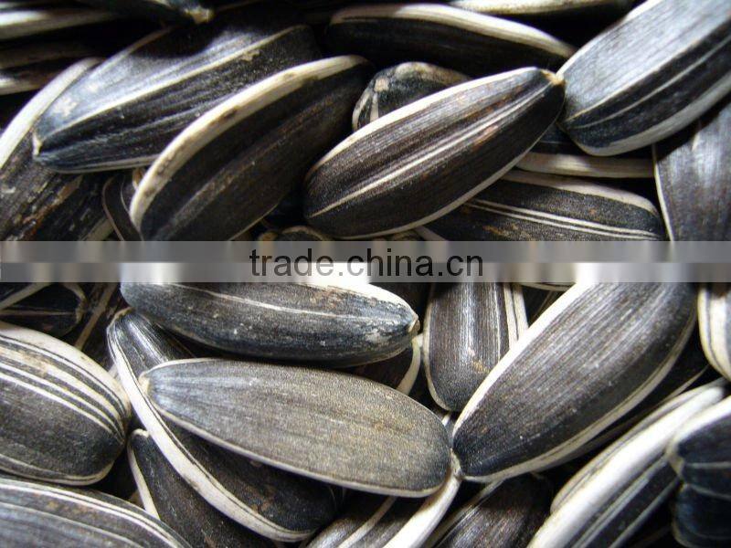 Black Sunflower Seeds 5009