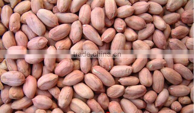 2014 Peanut kernels, Luhua / Haihua 24/28,28/32,34/38