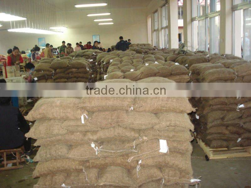 new crop chinese chestnut