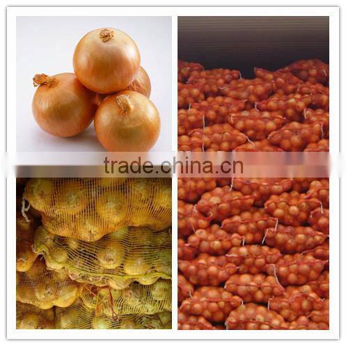 China big yellow onion price 2015
