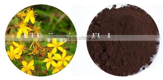 St John's Wort Extract Powder / Hypericum Extract