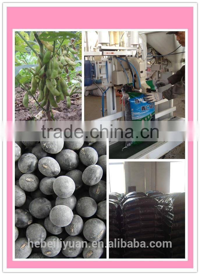 black soybeans with yellow kernel