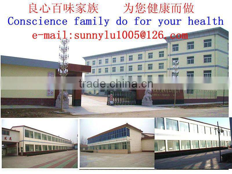 lemon peel powder in plastic shaker