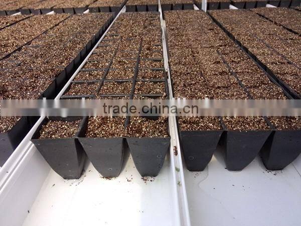 Crude Expanded vermiculite for grow tower, soilless culture, Plants