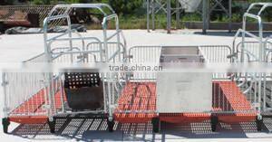 pig stalls
