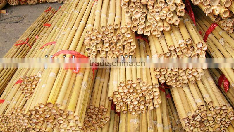 Bamboo Pole/bamboo plant supporting