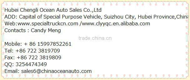 mini 4x2 Euro V gasoline food truck for sale