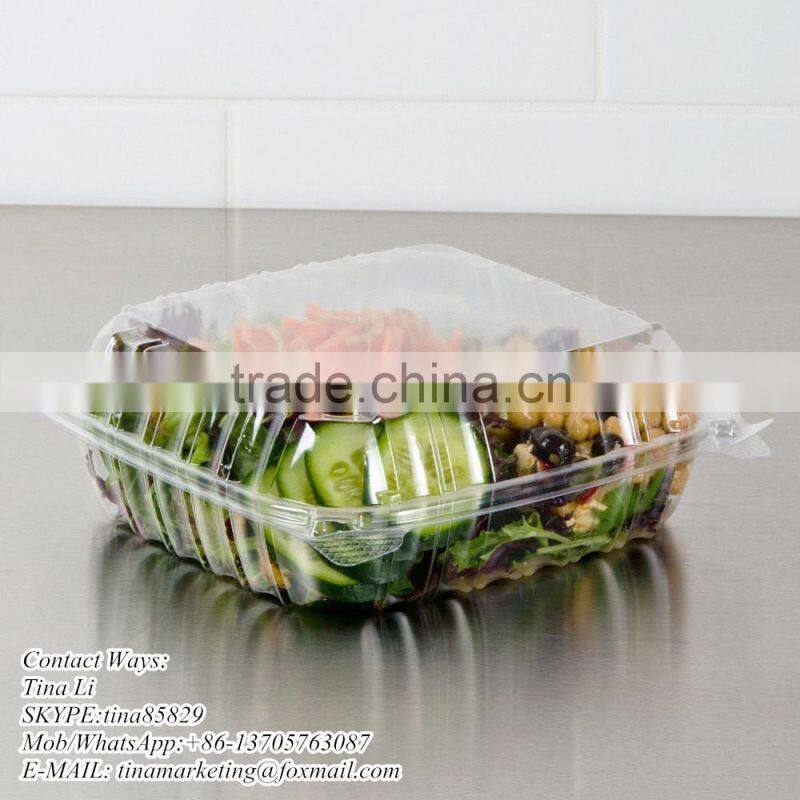 Cheap Price Clamshell Plastic Cake Container Carrier with Hinged Lid, Clear Plastic Take Out Food Packaging Box for Salad