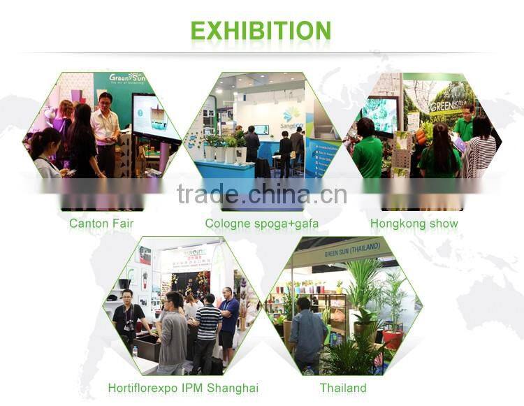 plastic garden structure wholesale hydroponic greenhouse