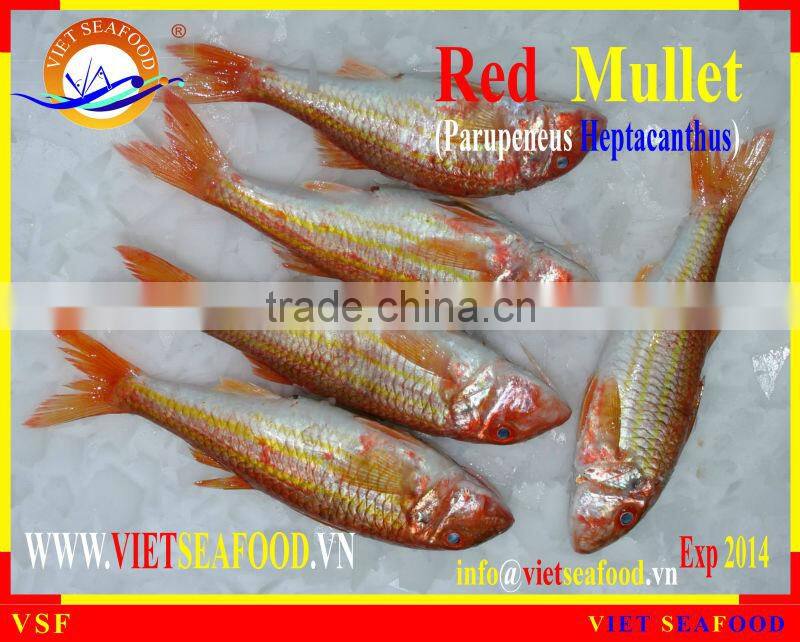 FROZEN WHOLE ROUND RED MULLET