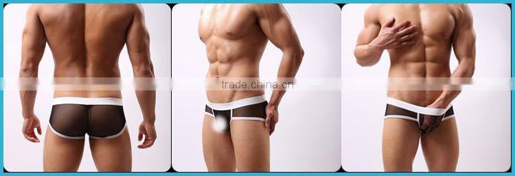 Without Logo Hot Sexi Photo Image Of Transparent Mesh Men Underwear Briefs Custom SC16