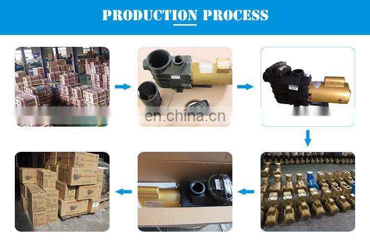 Factory Supply Commerical Electric 3HP Swimming Submersible Pool Pump