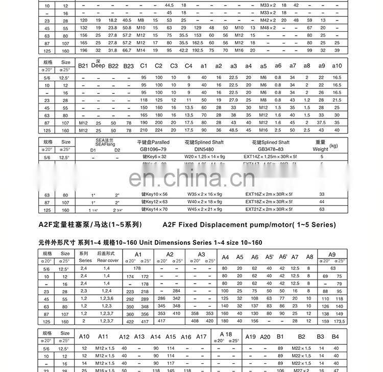 Oblique curved neck pump plunger pump/motor A2F55.80.160R2P1 Quantitative pump