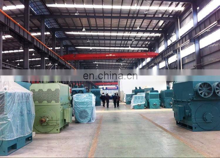 11KV high voltage three phase induction motor